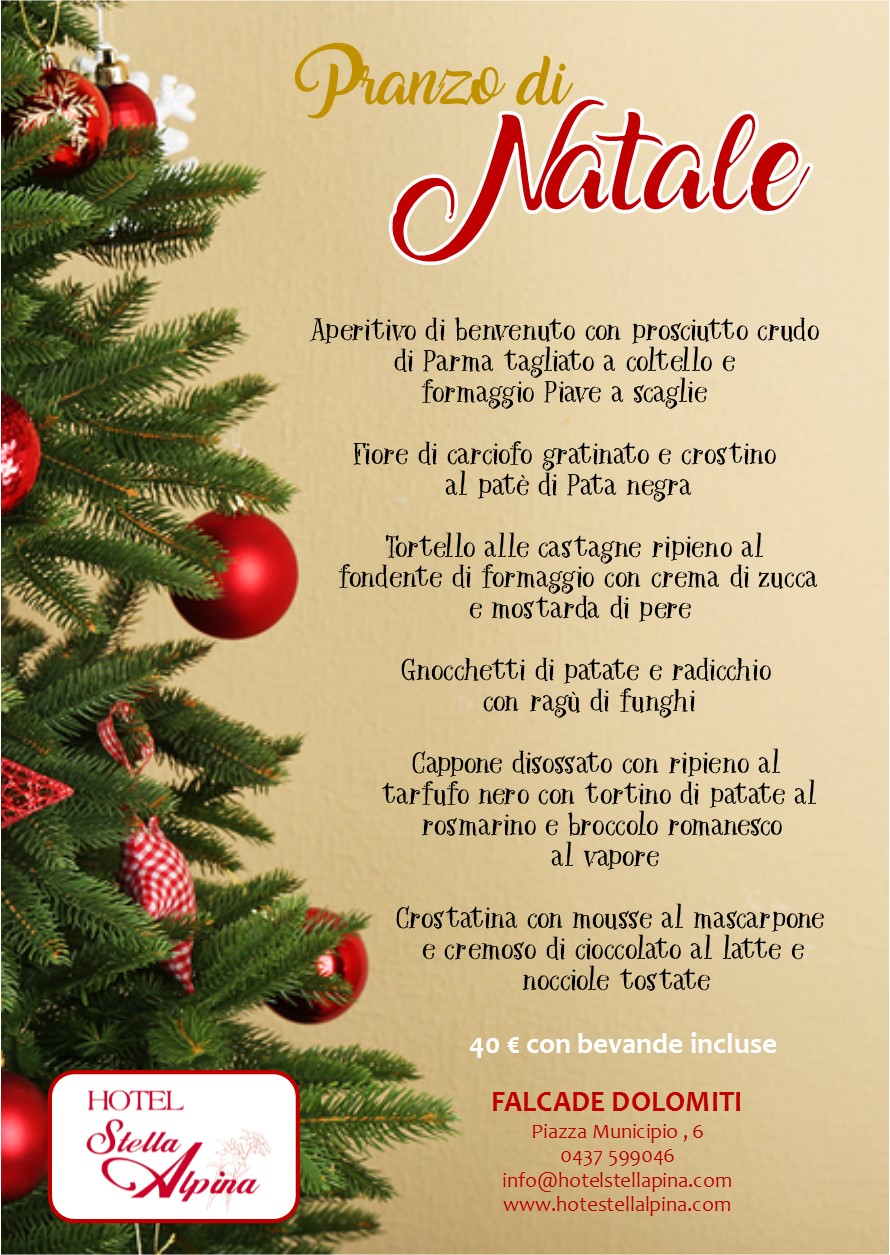 Albero Di Natale Stella Alpina.Natale Hotel Stella Alpina